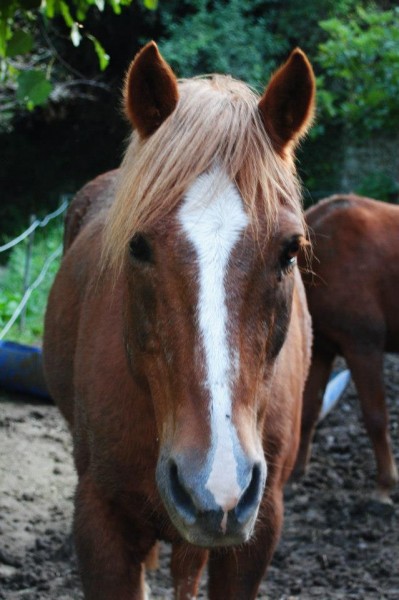 Photo de profil de amandinejtmpain