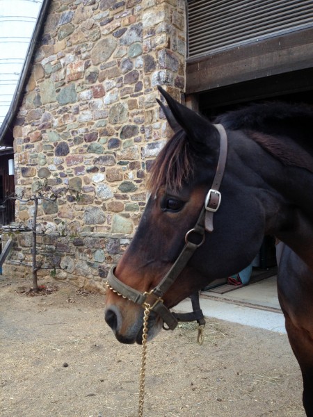 Photo de profil de poupoupourdire