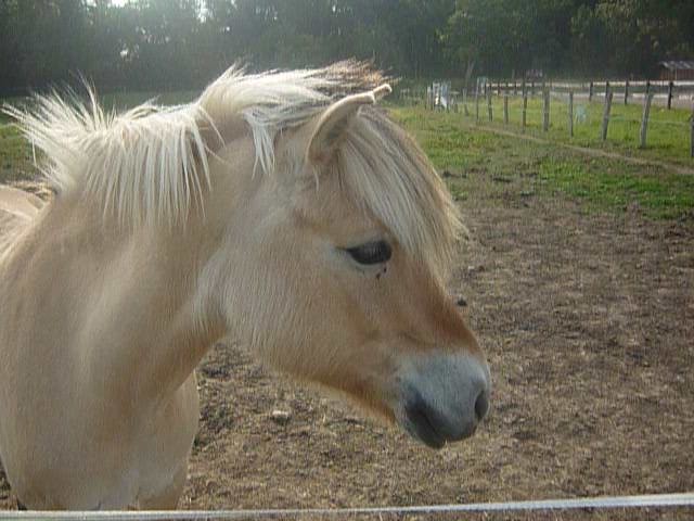 Photo de profil de claram