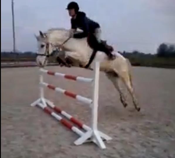 Photo de profil de oliark