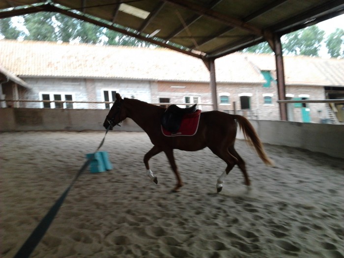 Photo de profil de cebert60
