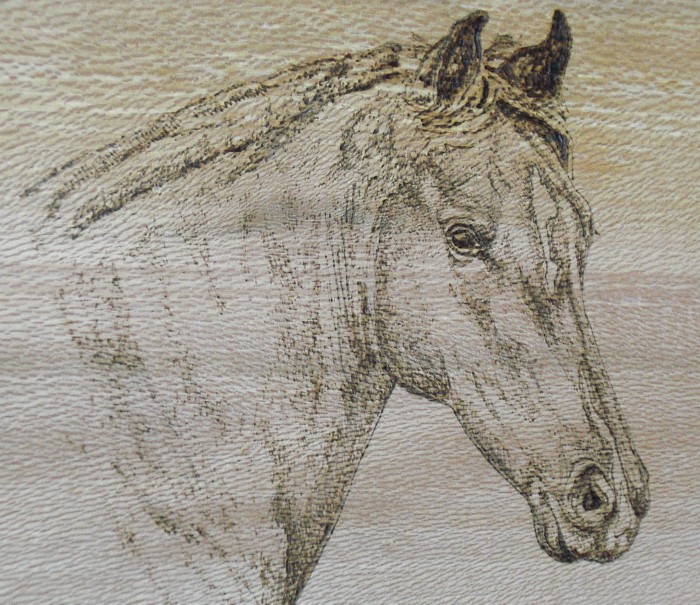 Photo de profil de plaquesdebox