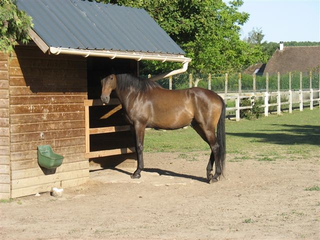 Photo de profil de davrol