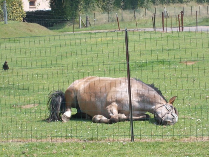 Photo de profil de emmalea