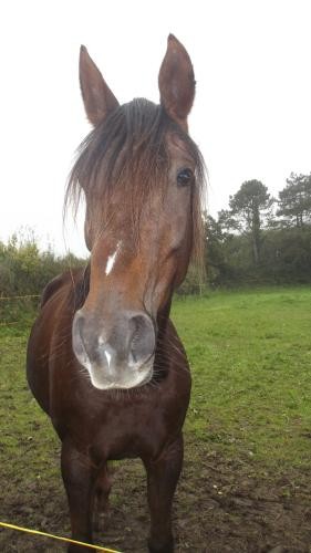 Photo de profil de roxanelorcoun