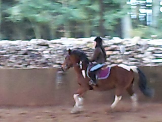 Photo de profil de zorse