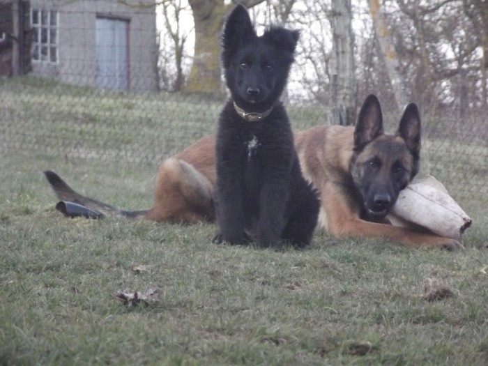 Photo de profil de deborah54740