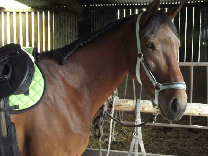 Photo de profil de tenordubolong