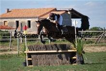 Photo de profil de ouestpony