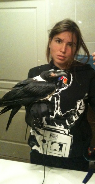 Photo de profil de loganz