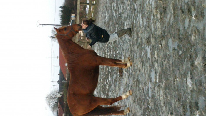 Photo de profil de ursandartonges