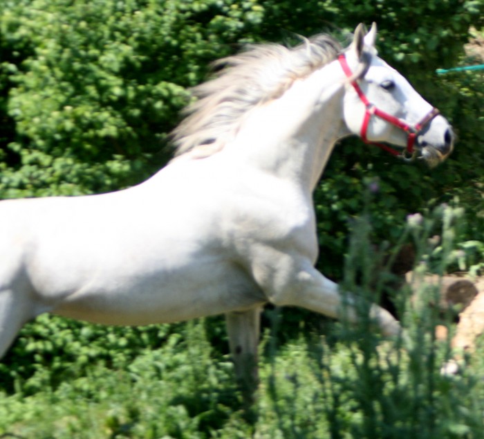 Photo de profil de magogo