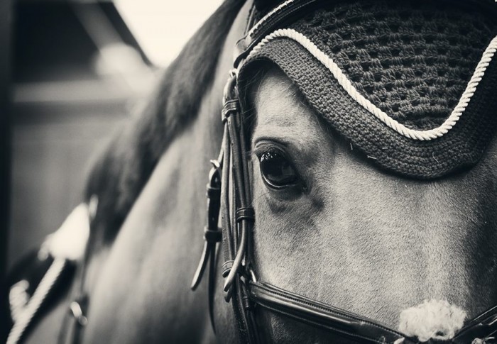 Photo de profil de erwanemory