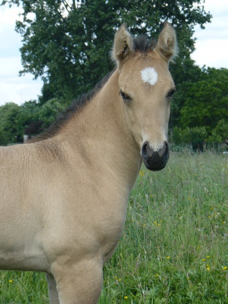Photo de profil de silvermightyjac