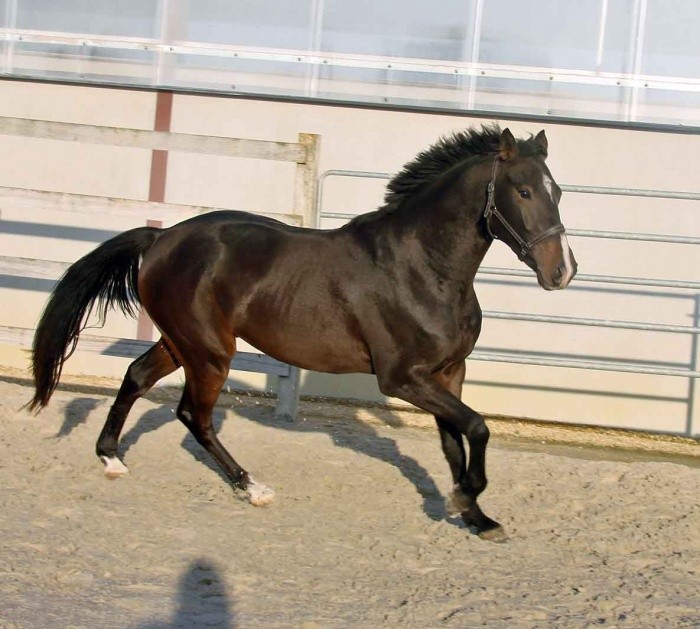 Photo de profil de jenny98