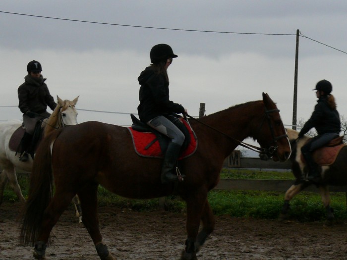Photo de profil de horsejumping