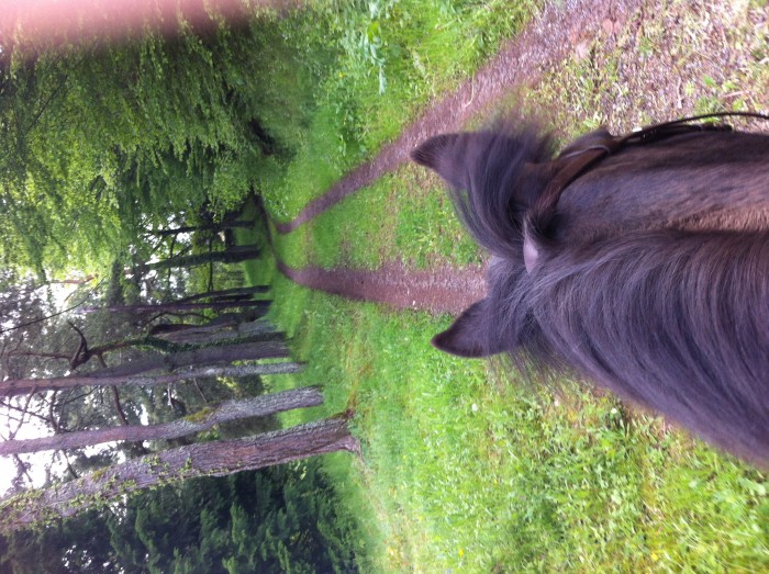 Photo de profil de mariinette