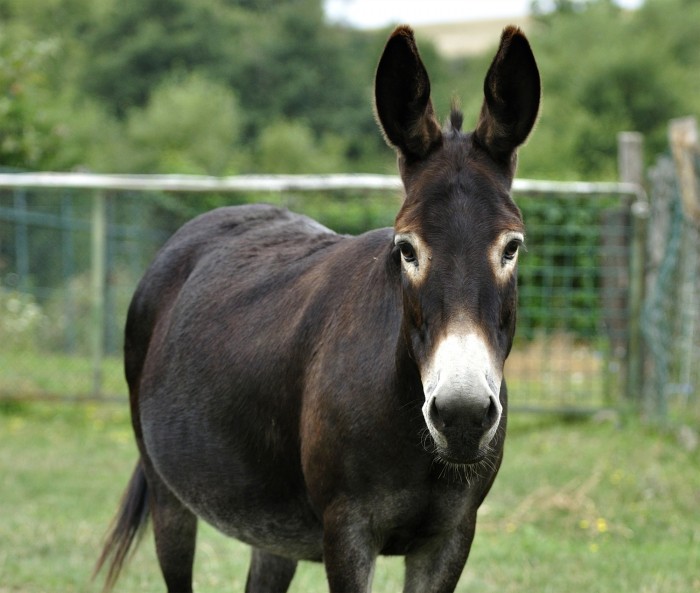 Photo de profil de patooo