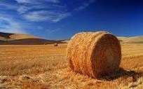 Photo de profil de triaud