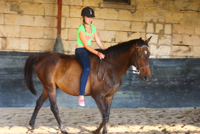 Photo de profil de melifab