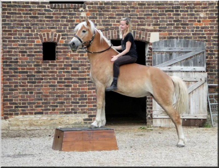 Photo de profil de lisa10