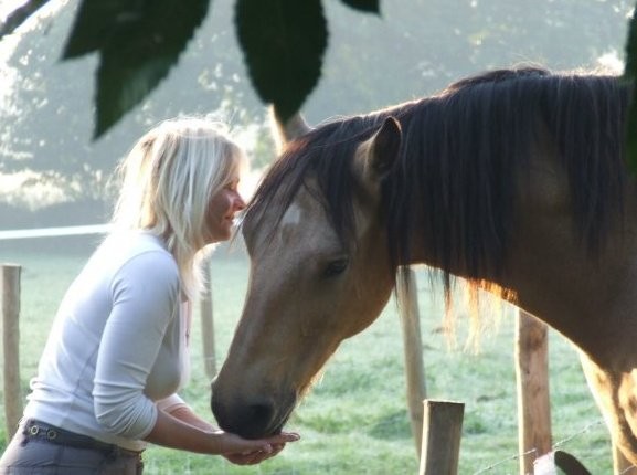 Photo de profil de allyanne