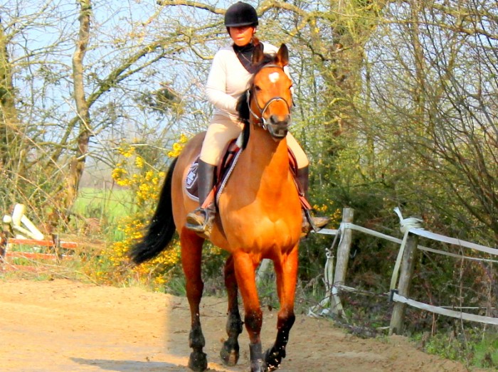 Photo de profil de myadev