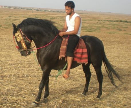 Photo de profil de gouchivich