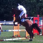 Photo de profil de cavalierdu95
