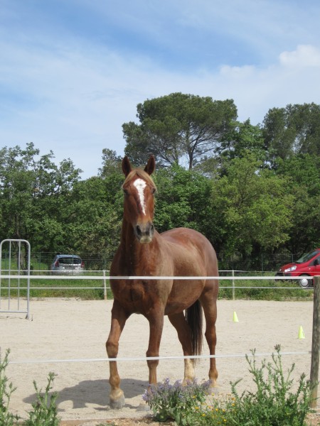 Photo de profil de petitefleur5934