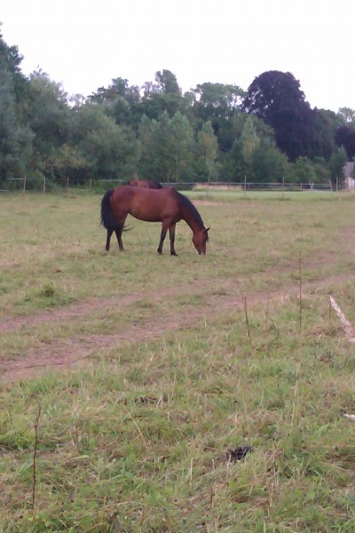 Photo de profil de louiseguillet