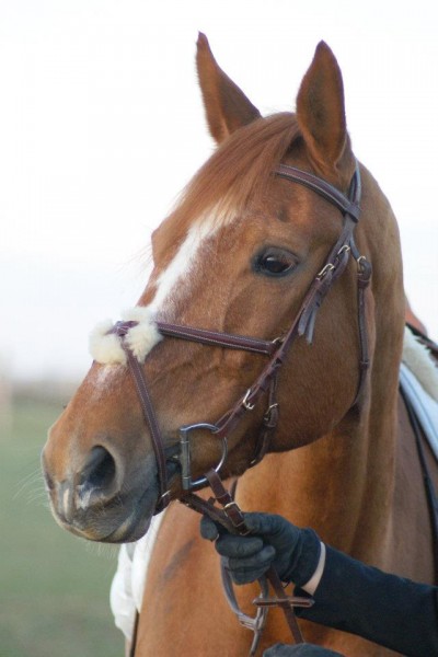 Photo de profil de dumont88