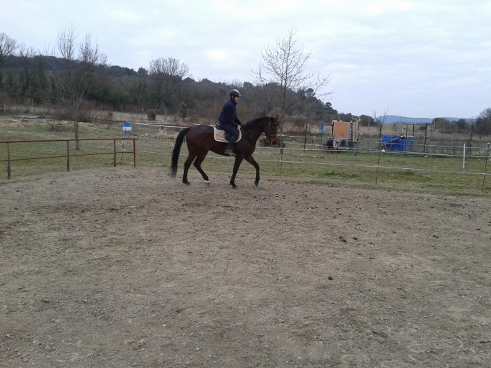 Photo de profil de catcheval5