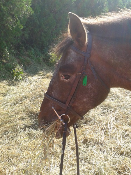 Photo de profil de romy16