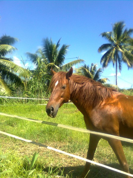 Photo de profil de manuia