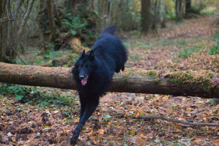 Photo de profil de ragnar