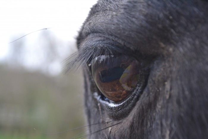 Photo de profil de carosaxo