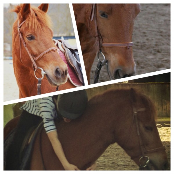 Photo de profil de raniad.