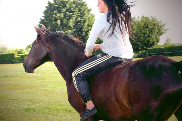 Photo de profil de teddy22