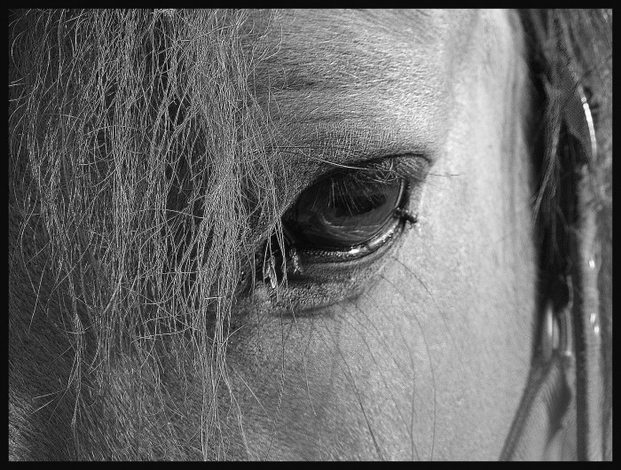 Photo de profil de riley41