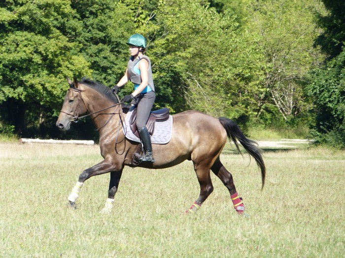 Photo de profil de alowa