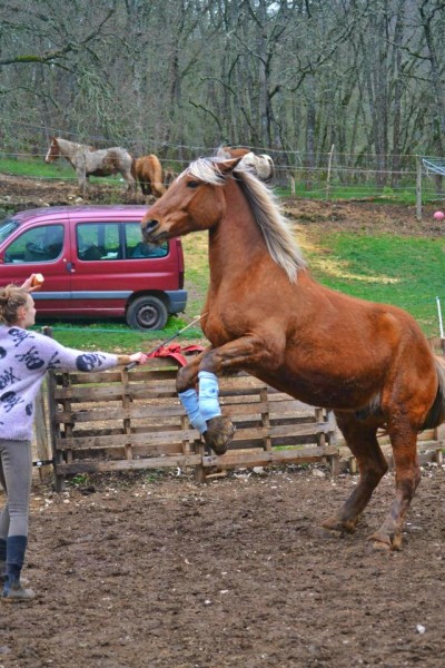 Photo de profil de marloutre