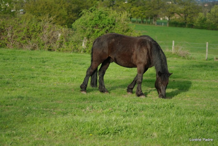 Photo de profil de larenedelo