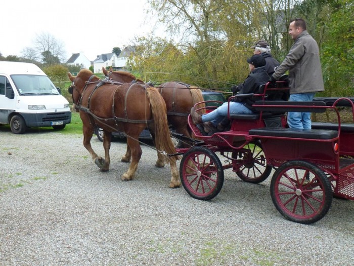 Photo de profil de roland29