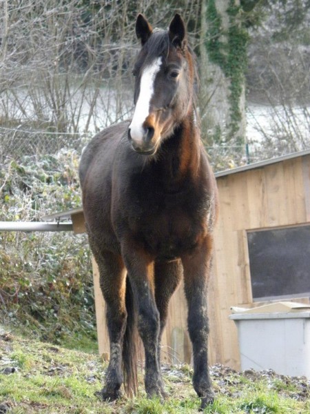 Photo de profil de popsinette1707