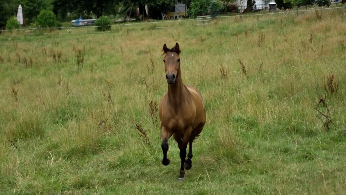 Photo de profil de macouria