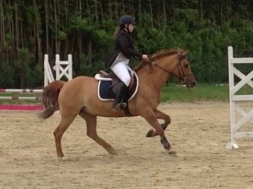 Photo de profil de proud_pony