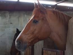 Photo de profil de ryansmile