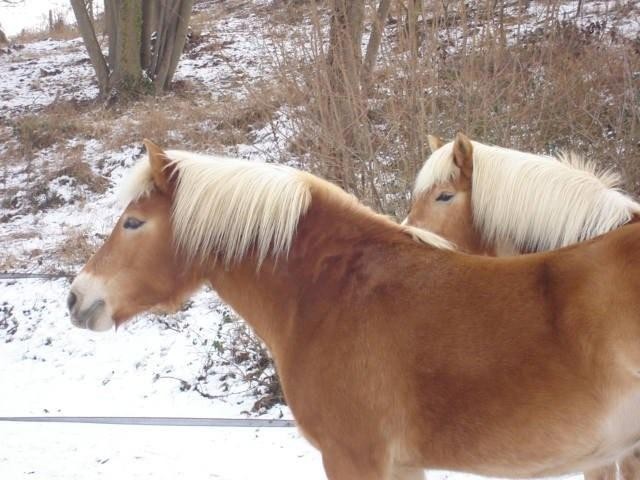 Photo de profil de fred333