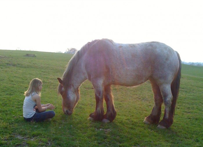 Photo de profil de ysaetlaura